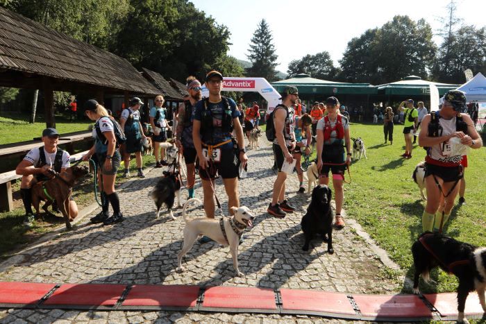 Read more about the article Komunikat przedstartowy – Sanok