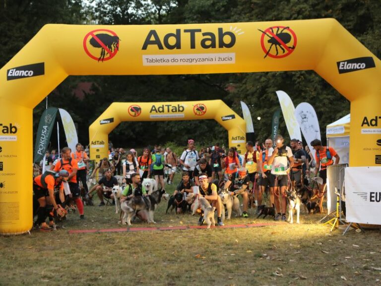 Read more about the article Komunikat przedstartowy – Park Śląski 2025