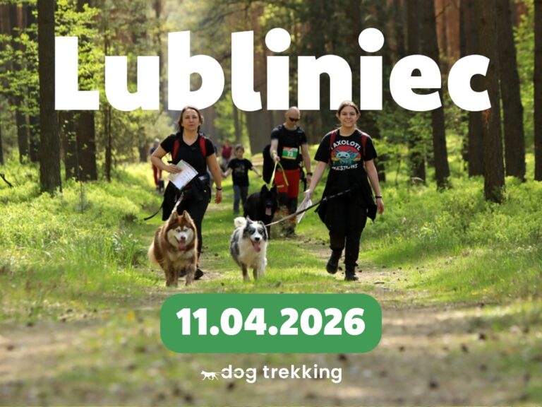 Read more about the article Lubliniec 2026