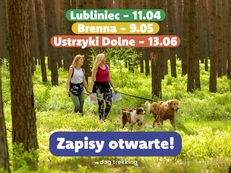 Read more about the article Ruszyły zapisy!