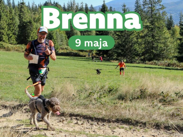 Read more about the article Dogtrekking w Brennej