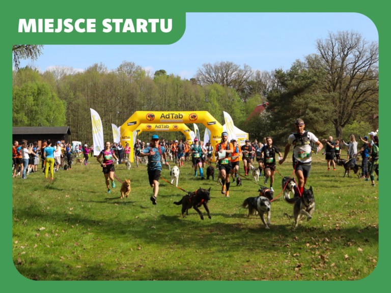 Read more about the article Miejsce startu w Lublińcu
